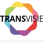 Transvisie